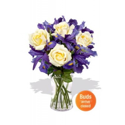 Roses and Iris Vase Bouquet